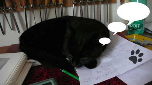 FF-OUIES-02 chat-dort-calculs